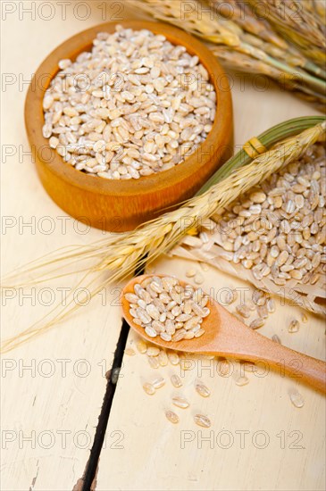 Organic barley grains over rustic wood table macro closeup