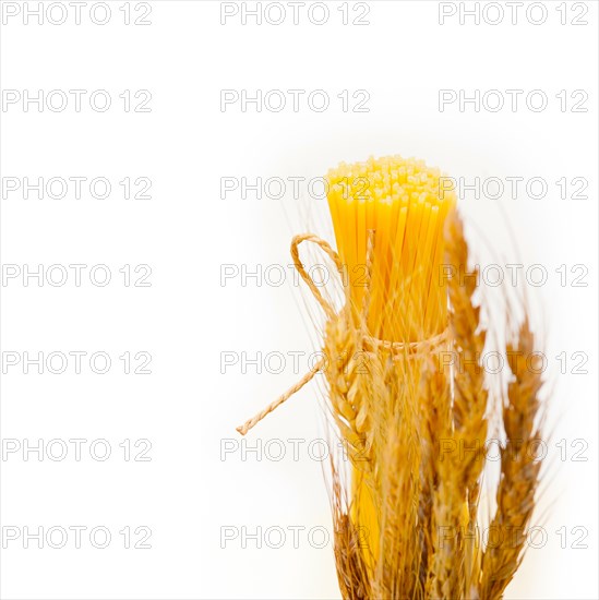 Organic Raw italian pasta and durum wheat grains crop