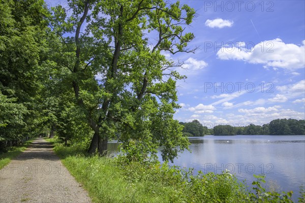 Cycle path by a fish pond