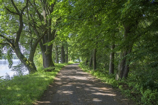 Cycle path past the fish ponds to