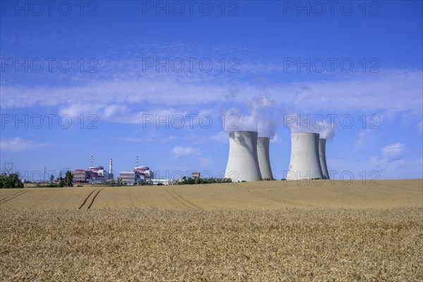 Grain field and cooling towers of the nuclear power plant