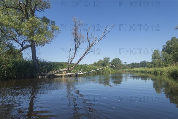 View of the Vltava from a canoe