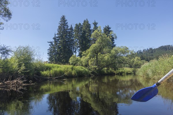 View of the Vltava from a canoe