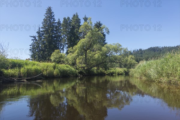 View of the Vltava from a canoe