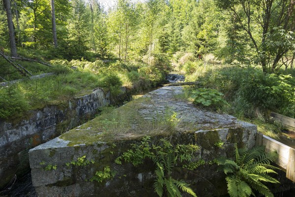 Schwarzenberg alluvial canal