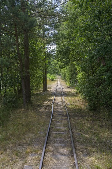 Tracks of the former narrow-gauge railway