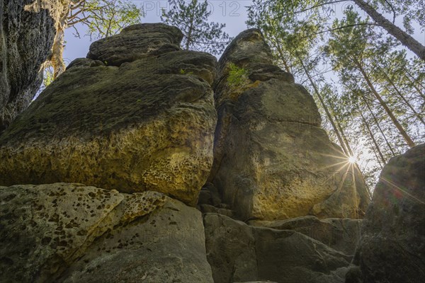 Rock labyrinth Skalni mesto Bludiste