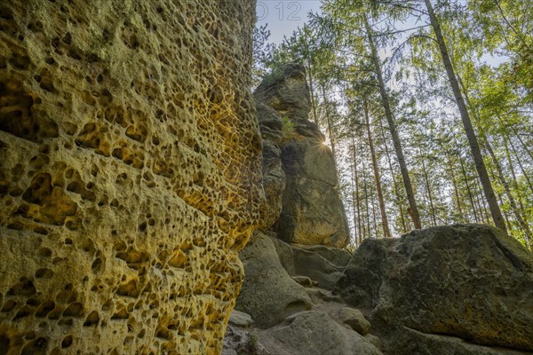 Rock labyrinth Skalni mesto Bludiste