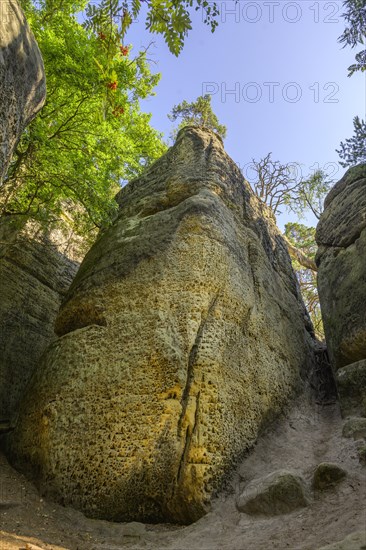 Rock labyrinth Skalni mesto Bludiste