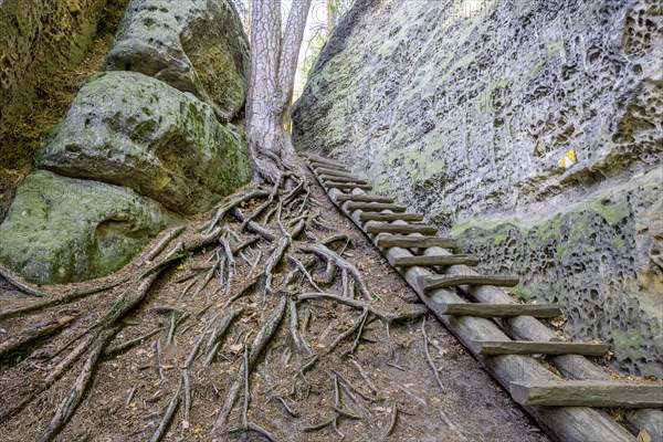 Wooden stairs in the Skalni mesto Bludiste rock labyrinth