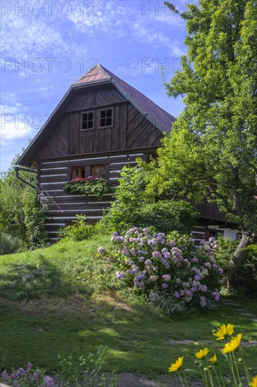 Old wooden house in the village