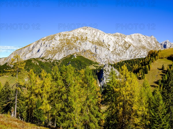 High board above autumnal mountain forest