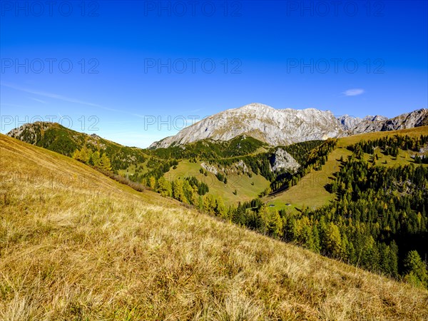 High board above autumnal mountain forest