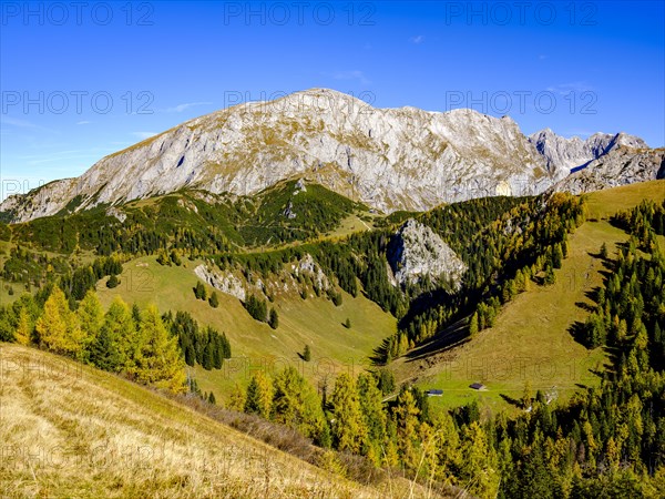 High board above autumnal mountain forest