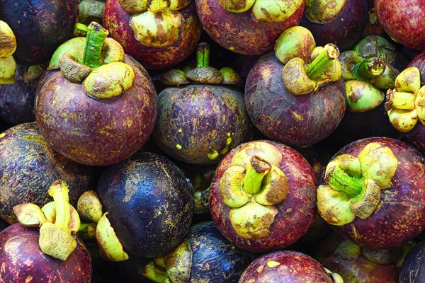 Mangosteen at the Banzaan fresh market