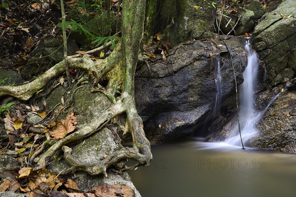 Cascades of the Kathu Waterfall