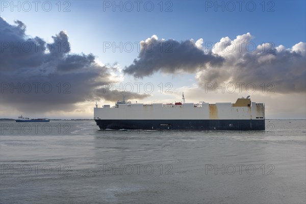 Cargo ship cruising in front of the beach at Boulevard Evertsen