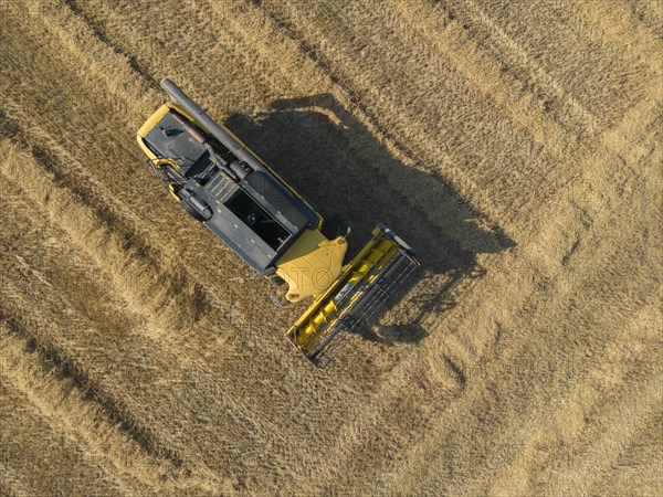 Combine harvester parked in cornfield