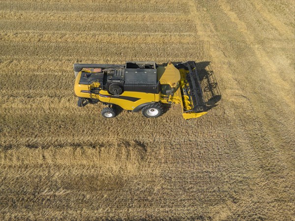 Combine harvester parked in cornfield