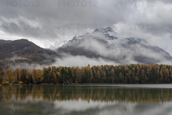 Lake Sils with colourful larches in autumn