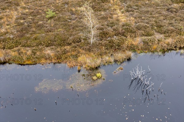 Autumn in the Kendlmuehlfilzen high moor