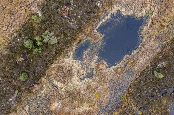 Autumn in the Kendlmuehlfilzen high moor