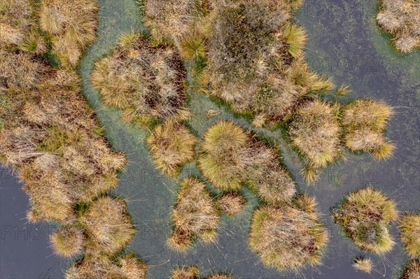 Autumn in the Kendlmuehlfilzen high moor