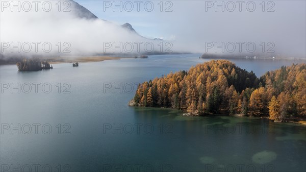 Lake Sils with colourful larches and fog in autumn