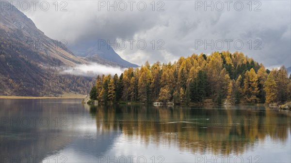 Lake Sils with colourful larches in autumn