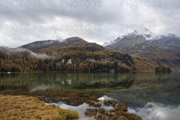 Lake Sils with colourful larches in autumn