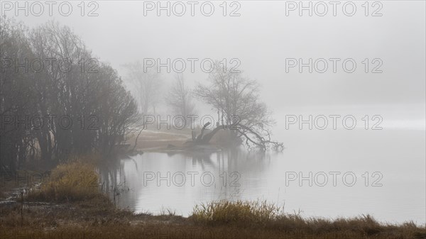 Lake Sils in autumn