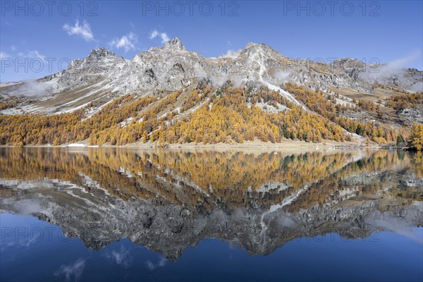 Piz Lagrev reflected in Lake Sils in autumn