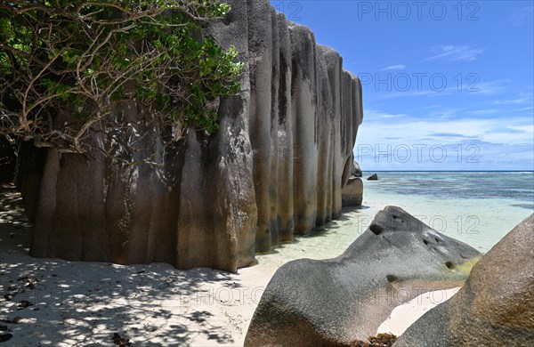 Granite rocks on the beach of Anse Source dArgent