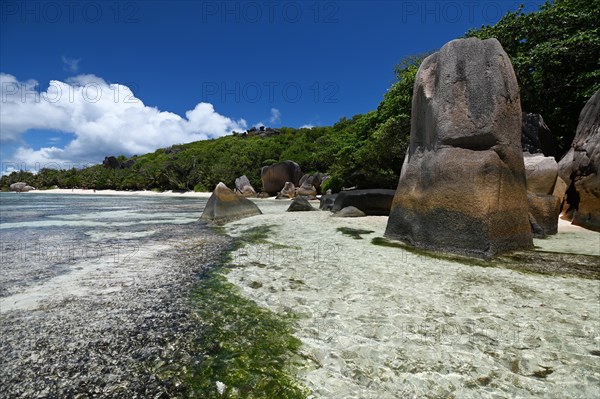 Granite rocks on the beach of Anse Source dArgent