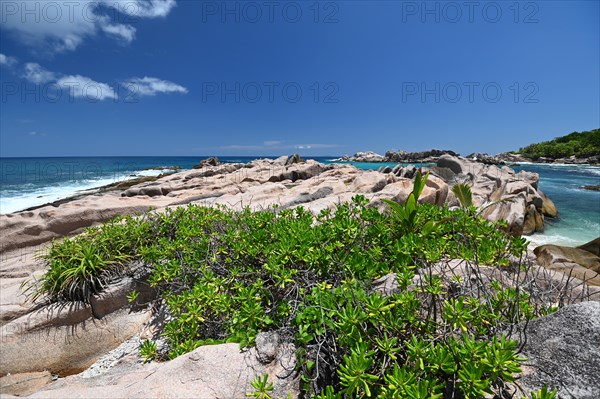 Rock Landscape