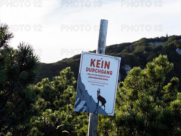 Information board on chamois habitat