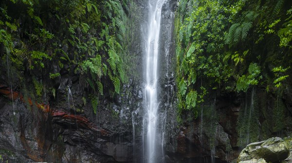 Waterfall between rock face overgrown with ferns