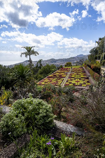 Flowerbeds with pattern