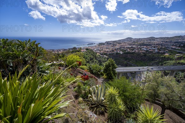 View over the city of Funchal