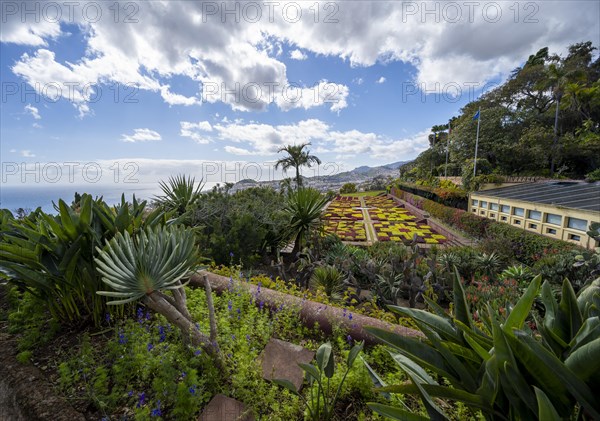 Flowerbeds with pattern