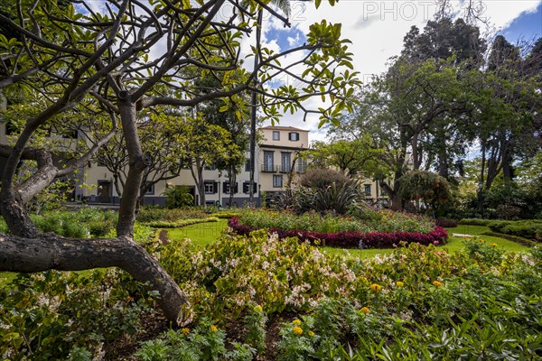 Park with flowers