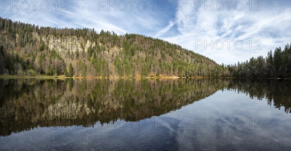 Water reflection at Feldsee in the Southern Black Forest nature park Park