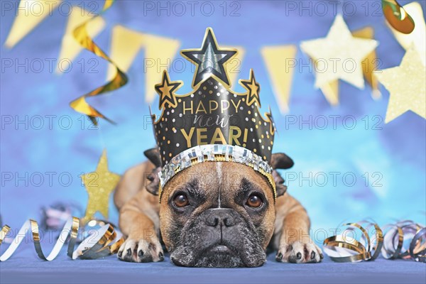 New Year party French Bulldog dog wearing crown with text 'Happy new year' between golden streamers on blue background