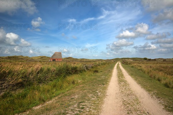 National park De Muy with sheep shelter bungalow building on island Texel in Netherlands