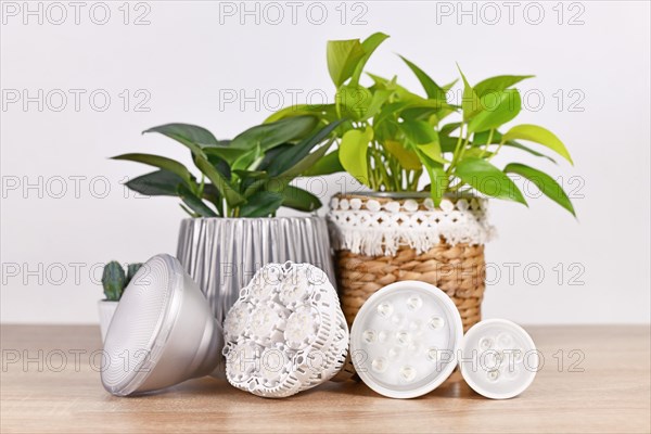 Different LED plant grow lights in front of houseplants