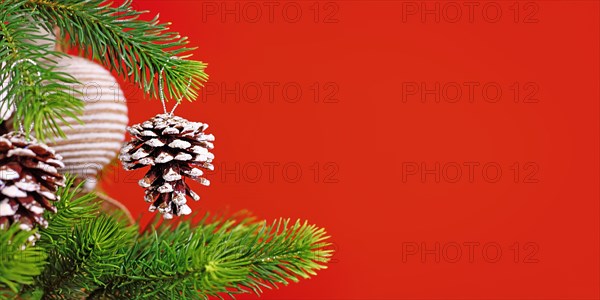 Red Christmas banner with natural fir cone ornament with snow and glitter on tree