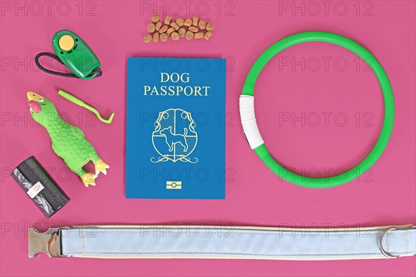 Concept of traveling with dogs showing made up blue dog passport next to pet supplies like collar
