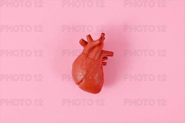 Single heart organ model on pink background