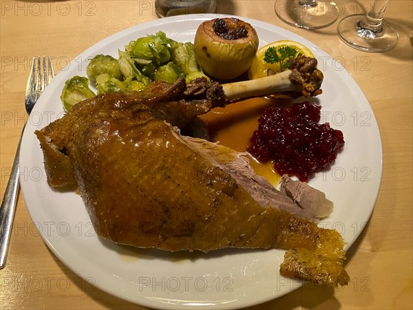 Roast goose