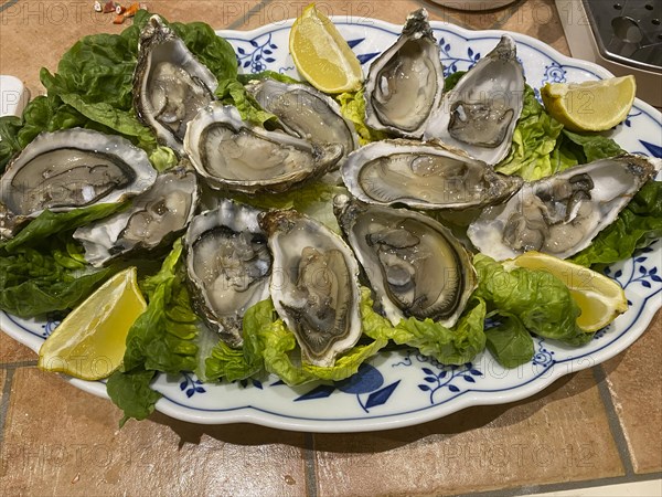 Fresh oysters with lemon and salad